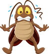 scared cockroach cartoon on white background