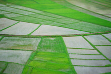Terraced Rice Field In Water Season In Chiangmai Thailand.