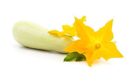 Wall Mural - Courgette with leaves and flower.