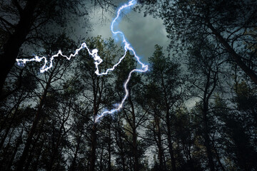 Wall Mural - dark cloudy sky with lightning striking trees. thunderstorm