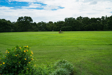 Wall Mural - The Great Lawn view in a Garden