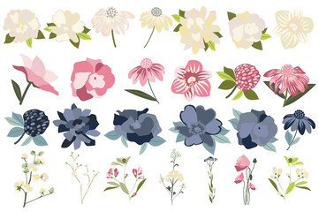 Leinwandbilder - Flower and plants isolated set. Echinacea, roses, blooming wildflowers and other. Flowering garden and wild botanical decor. Bundle of floral elements. Vector illustration in hand drawn design
