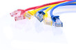 colorful LAN cable on white background closeup