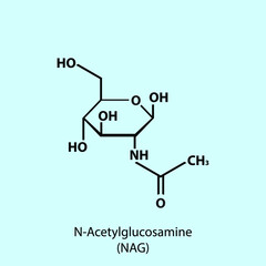 Wall Mural - NAG - Acetylglucosamine, component of peptidoglycan in bacteria cell wall molecular structure, organic sugar molecule