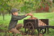 © Jacek - Child, boy 6 years old, harvesting walnuts, outdoor.