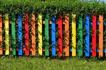 Wall Mural - Wood fence construction bright colors