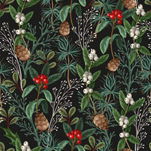 Seamless Pattern With Botanical Pines And Hollyberries. Christmas Background.