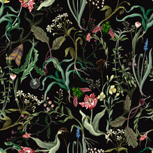 Seamless Pattern With Wild Thin Flowers And Insects. Trendy Botanical Print.