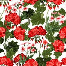 Seamless Pattern With Geraniums And Wild Flowers. Trendy Floral Vector Print.