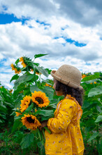 Beautiful Girl In A Field Of Sunflowers