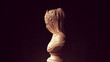 Drapery Sculpture Art Woman Ancient Head Fabric Statue Religion Symbol 3d illustration render