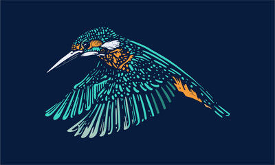 Wall Mural - kingfisher on dark background