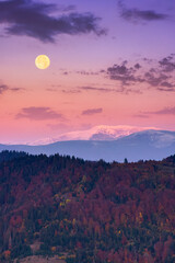 Wall Mural - moon rise above snow covered ridge. wonderful autumn landscape of carpathian mountains in late autum