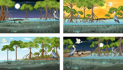 Poster - Different mangrove forest landscape scenes with various animals