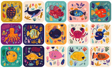 Big Colourful Collection Wit Cute Funny Cards On Marine Life Theme. Underwater World Cards For Kids Design. Vector Illustrations With Sea Turtle, Whale, Fishes, Seaweed