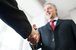 © Minerva Studio - Business people shaking hands