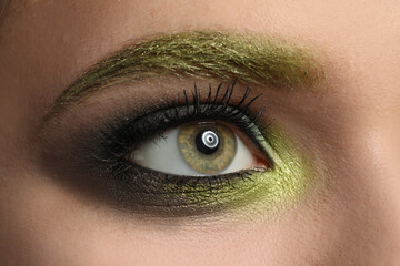 Young woman with evening makeup, closeup. Eye shadow product