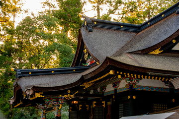 Wall Mural - japanese garden