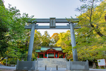 Wall Mural - gazebo in the park