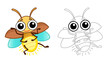 Coloring Insect for children coloring book. Funny firefly in a cartoon style. Trace the dots and color the picture