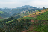 Fototapeta  - Rwanda land of thousands hills