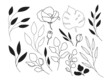 abstract florals minimalistic line art. Hand drawn botanical elements, sketch foliage set. Natural leaves and flowers black icons.