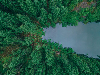 Wall Mural - couple travelers hikers reach mountain lake in forest