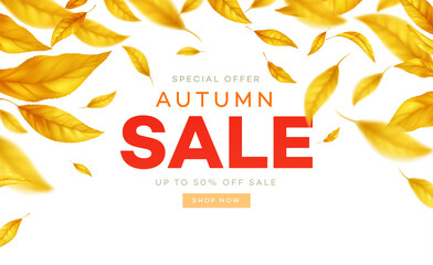 Wall Mural - Background for the autumn season of discounts. Fall sale background with flying yellow and orange autumn leaves. Vector illustration