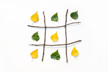 Creative Autumn Concept. Tic-tac-toe, Noughts And Crosses Between Summer And Autumn. Green And Yellow Leaves In Grid Made From Branches. Fall Is The Winner. Top View Flat Lay