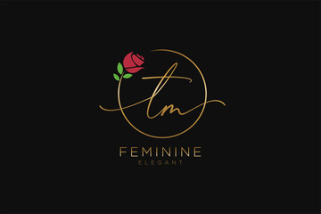 Wall Mural - initial TM Feminine logo beauty monogram and elegant logo design, handwriting logo of initial signature, wedding, fashion, floral and botanical with creative template.