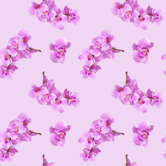 Wall Mural - .Orchid seamless floral pattern. Pastel colors