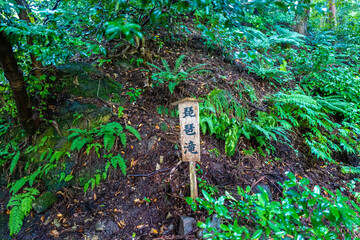 石川県白山市の白山神社周辺の風景 Scenery around Hakusan Shrine in Hakusan City, Ishikawa Prefecture 