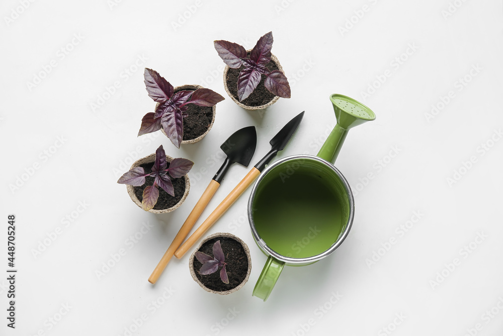 Plants seedlings in peat pots and gardening tools on light background