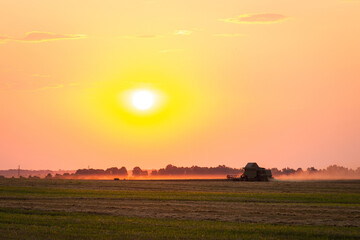 Poster - Evening shot of combine harvester gathering grain in agricultural wheat field with a setting sun in the background. Harvest in the wheat field