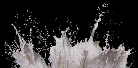 Wall Mural - milk splash isolated over black background