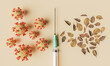 © Antonio Solano - autumn vaccination concept
