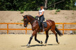 Horse dressage with rider during training, on the diagonal in a strong trot during the suspension phase..