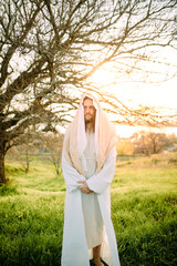 Wall Mural - Jesus Christ standing in meadow clothed in white robe.
