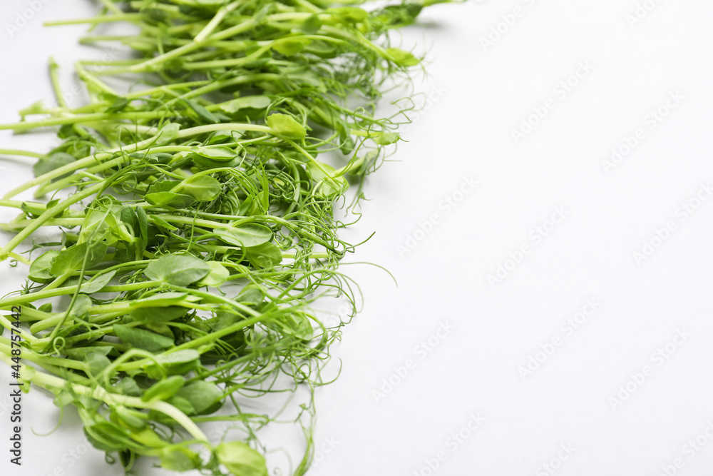Fresh micro green on light background