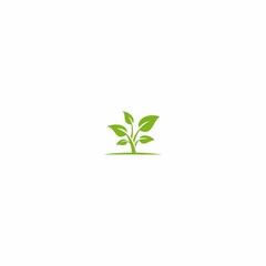 Wall Mural - PLANT, LEAF, GREEN, NATURE, LOGO, VECTOR, ICON, EPS