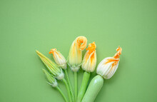 Different Zucchini Flowers On A Uniform Background