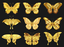 Vector Set Of Golden Butterflies