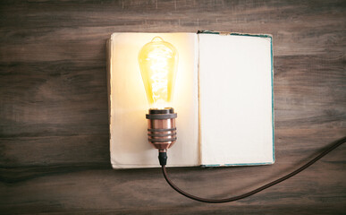 Wall Mural - Light bulb and book. Knowledge and wisdom