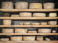 Special Cheeses In Boutique Cheese Factory B.s