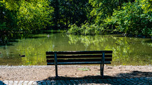 Empty Bench In Front Of Pond With Ducks In Natural Park