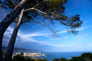 Wall Mural - city bormes les mimosas in france mediterranean sea