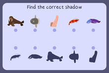 Matching Children Educational Game With Sea Animals - Walrus, Sunfish, Sponge, Shrimp, Cuttlefish. Find The Correct Shadow. Vector Illustration.