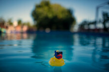 Close-up Of Toy Floating On Swimming Pool