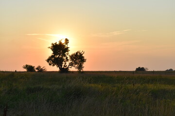 Wall Mural - Rural Sunset