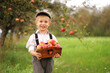 © Jacek - Smiling little boy with apples in an autumn orchard.